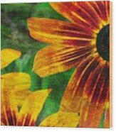 Gloriosa Daisy Wood Print