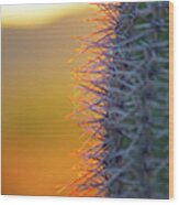 Glowing Cactus Needles Wood Print