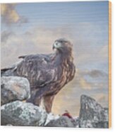 Golden Eagle With Prey At Sunrise Wood Print