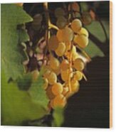 Golden Grapes Wood Print