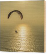 Golden Hang Glider Wood Print