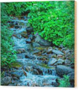 Golden Pond Stream Wood Print