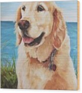 Golden Retriever Wood Print