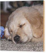 Golden Retriever Puppy Sleeping Wood Print