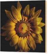 Golden Sunflower Wood Print