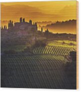 Golden Tuscany Wood Print