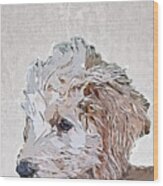 Cute Goldendoodle Puppy Wood Print