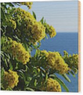 Goldenrod Living On The Edge Wood Print