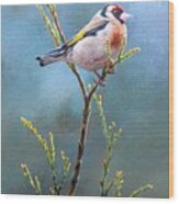 Goldfinch By Alan M Hunt Wood Print