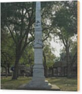 Goliad Fannin Monument And Playground Wood Print