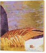 Canada Goose On The Pond Bird Waterfowl Print Wood Print
