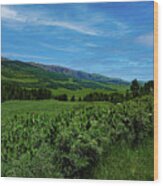 Crested Butte Colorado, Gothic Mountain Wood Print