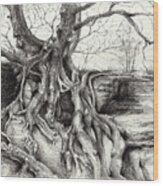 Graceful Tree That Grows On The Sandstone Wood Print