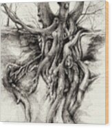 Graceful Tree That Grows On The Sandstone Ii Wood Print