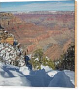 Grand Canyon #6 Wood Print