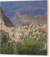 Grand Canyon View From Grandview Trail Wood Print