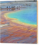 Grand Prismatic Spring In Yellowstone Wood Print