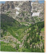 Grand Tetons Waterfall Wood Print