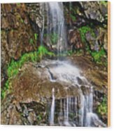 Grandfather Waterfall Wood Print