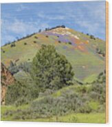Grass Mountain Lupines And Poppies Wood Print