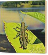 Grasshopper Sunning Wood Print