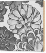 Gray Monochrome Succulent Plants Garden Watercolor Art Decor V Wood Print