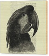 Great Black Cockatoo Art Wood Print