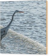 Great Blue Heron And Wave Wood Print