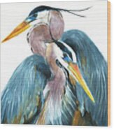 Great Blue Heron Couple Wood Print