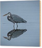 Great Blue Heron River Side Wood Print