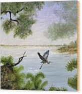 Great Blue Heron Taking Flight Wood Print