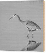 Great Blue Herons Bw Wood Print