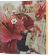 Great Bougainvillea Wood Print