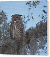 Great Horned Owl 2 Wood Print