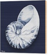 Grenada Shells I - Midnight Wood Print