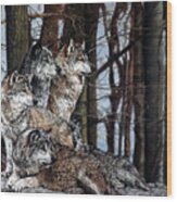 Grey Wolves Wood Print