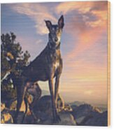 Greyhound Sandia Peak Wood Print