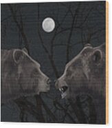 Grizzly Night Wood Print