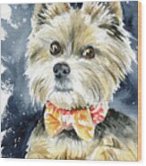 Guido Yorkshire Terrier Dog Painting Wood Print