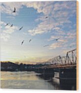 Gulls At The Bridge #2 Wood Print