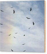 Gulls In The Rainbow Wood Print
