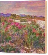 H Edgartown Shoreline Roses - Horizontal Wood Print