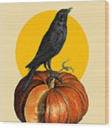 Halloween Crow On A Pumpkin Wood Print