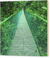 Hanging Bridge In Cloud Forest In Monte Verde Costa Rica Wood Print
