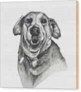 Happy Labrador Wood Print