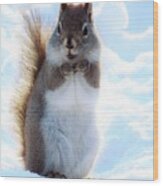 Happy Little Squirrel Wood Print