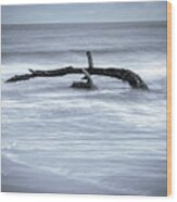 Harmonious Driftwood Ii Wood Print