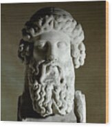Head Of Plato, Greek Philosopher, Marble Wood Print