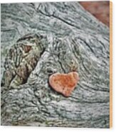 Heart Shaped Rock Wood Print