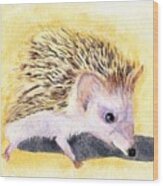 Hedgehog Wood Print